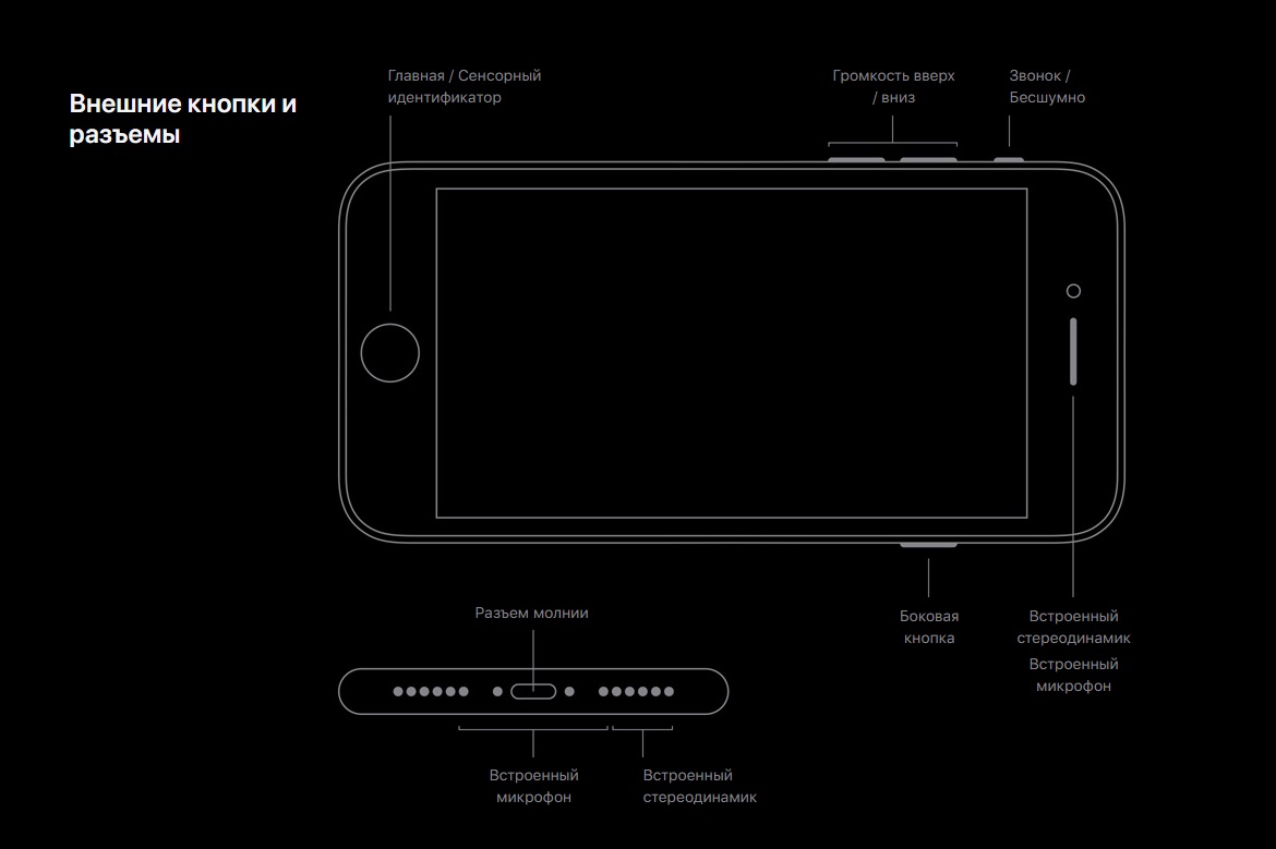 Apple iPhone SE 2020-1